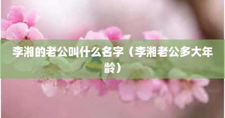 李湘的老公叫什么名字（李湘老公多大年龄）