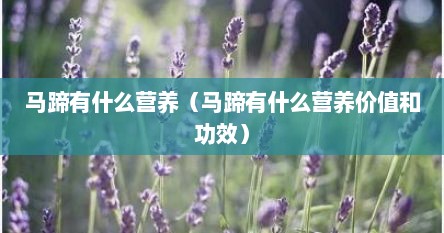 马蹄有什么营养（马蹄有什么营养价值和功效）