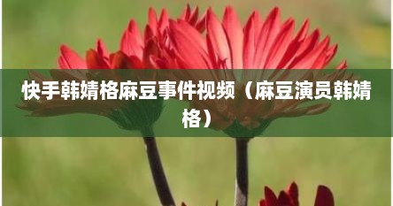 快手韩婧格麻豆事件视频（麻豆演员韩婧格）