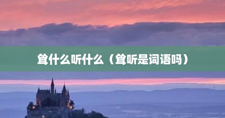 耸什么听什么（耸听是词语吗）