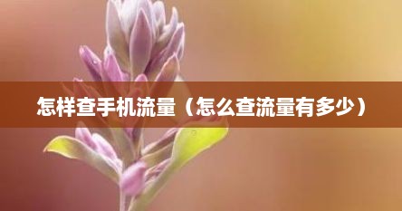 怎样查手机流量（怎么查流量有多少）