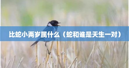 比蛇小两岁属什么（蛇和谁是天生一对）