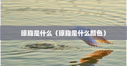 琼脂是什么（琼脂是什么颜色）