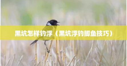 黑坑怎样钓浮（黑坑浮钓鲫鱼技巧）