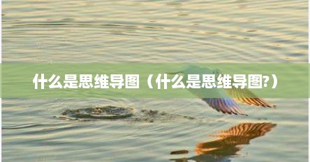 什么是思维导图（什么是思维导图?）