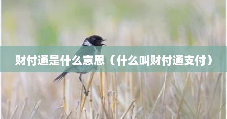 财付通是什么意思(什么叫财付通支付) 财付通是什么意思(什么叫财付通支付)