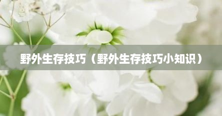 野外生存技巧（野外生存技巧小知识）