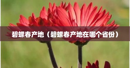 碧螺春产地（碧螺春产地在哪个省份）