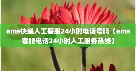 ems快递人工客服24小时电话号码(ems客服电话24小时人工服务热线)