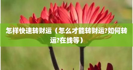 怎样快速转财运（怎么才能转财运?如何转运?在线等）