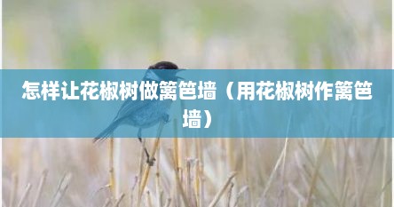 怎样让花椒树做篱笆墙（用花椒树作篱笆墙）