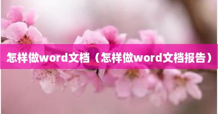 怎样做word文档（怎样做word文档报告）