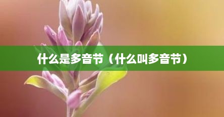 什么是多音节（什么叫多音节）