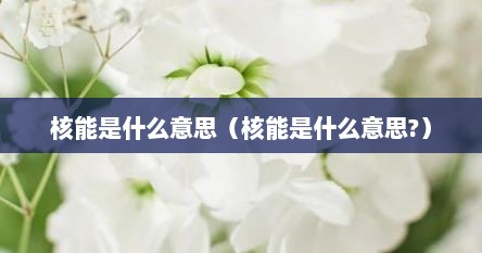 核能是什么意思（核能是什么意思?）