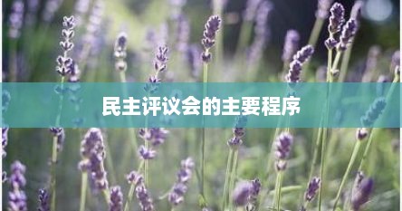 民主评议会的主要程序