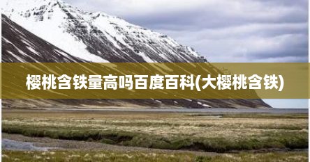 樱桃含铁量高吗百度百科(大樱桃含铁)