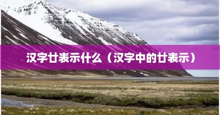 汉字廿表示什么（汉字中的廿表示）