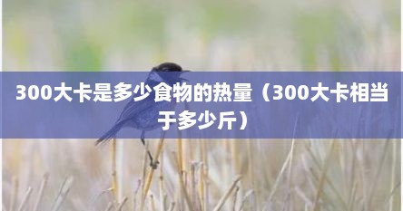 300大卡是多少食物的热量（300大卡相当于多少斤）