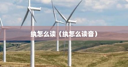 纨怎么读（纨怎么读音）