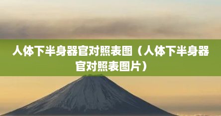 人体下半身器官对照表图（人体下半身器官对照表图片）