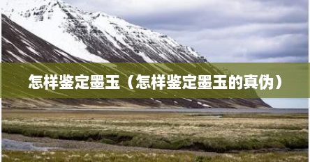 怎样鉴定墨玉（怎样鉴定墨玉的真伪）