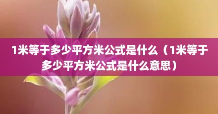 1米等于多少平方分米厘米（1米等于多少平方米公式）