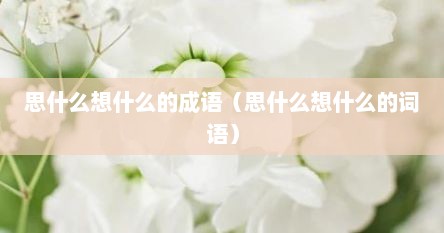 思什么想什么的成语（思什么想什么的词语）