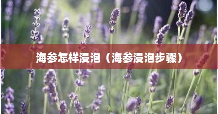 海参怎样浸泡（海参浸泡步骤）
