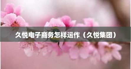 久悦电子商务怎样运作（久悦集团）