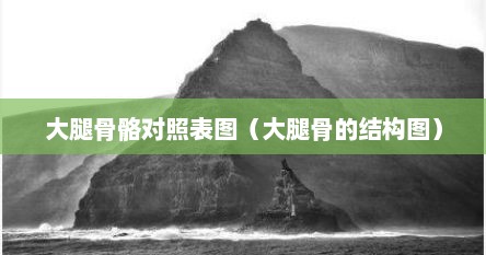 大腿骨骼对照表图（大腿骨的结构图）
