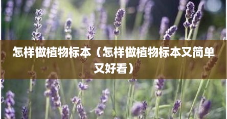 怎样做植物标本（怎样做植物标本又简单又好看）
