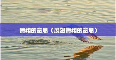 展翅滑翔的滑怎么写（滑翔的意思?）