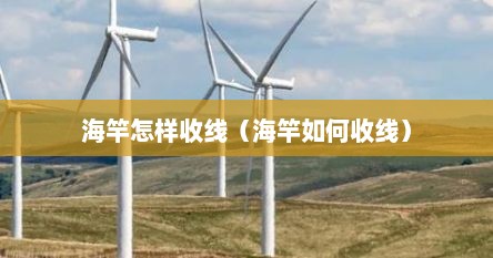 海竿怎样收线（海竿如何收线）