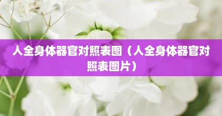 人全身体器官对照表图（人全身体器官对照表图片）