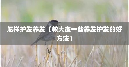 怎样护发养发（教大家一些养发护发的好方法）