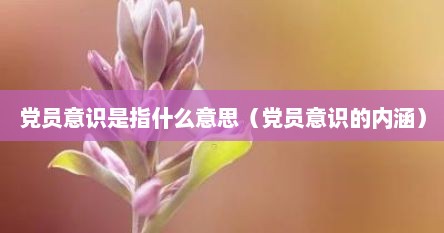 党员意识是指什么意思（党员意识的内涵）