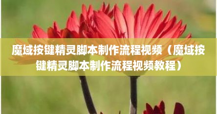 魔域按键精灵脚本制作流程视频（魔域按键精灵脚本制作流程视频教程）