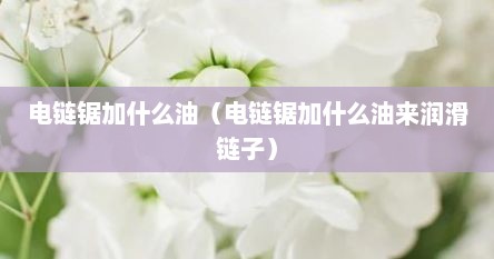 电链锯加什么油（电链锯加什么油来润滑链子）
