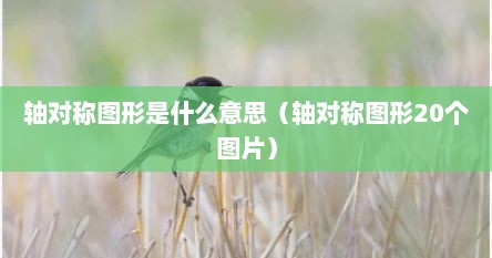 轴对称图形是什么意思（轴对称图形20个图片）