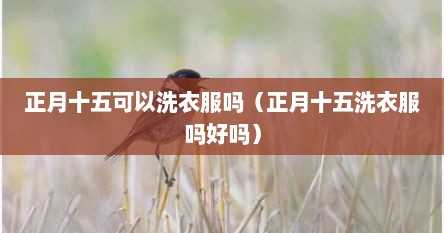 正月十五可以洗衣服吗（正月十五洗衣服吗好吗）