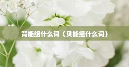 背能组什么词(贝能组什么词)