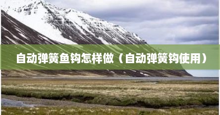 自动钓鱼弹簧钩怎么操作视频（自动触发式弹簧鱼钩）