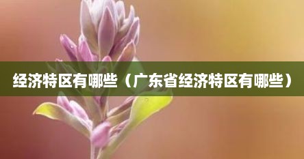 经济特区有哪些（广东省经济特区有哪些）