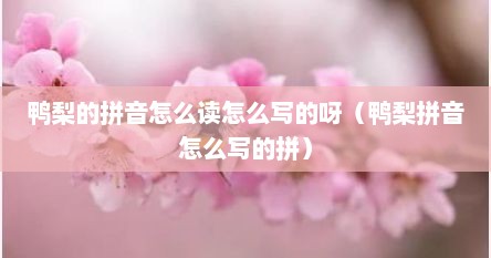 鸭梨的拼音怎么读怎么写的呀（鸭梨拼音怎么写的拼）