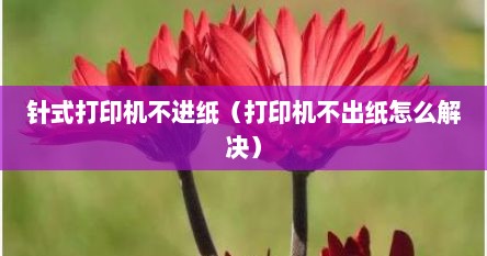 针式打印机不进纸（打印机不出纸怎么解决）
