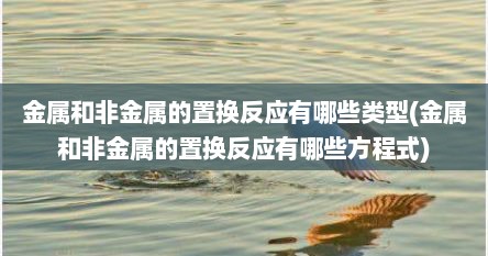 金属和非金属的置换反应有哪些类型(金属和非金属的置换反应有哪些方程式)