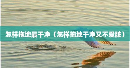 怎样拖地最干净（怎样拖地干净又不爱脏）