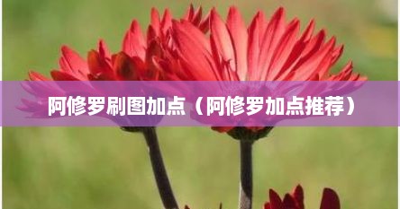 阿修罗刷图加点（阿修罗加点推荐）