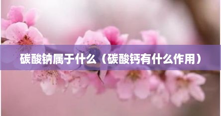 碳酸钠属于什么（碳酸钙有什么作用）