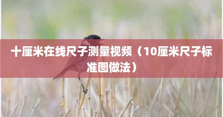 十厘米在线尺子测量视频（10厘米尺子标准图做法）